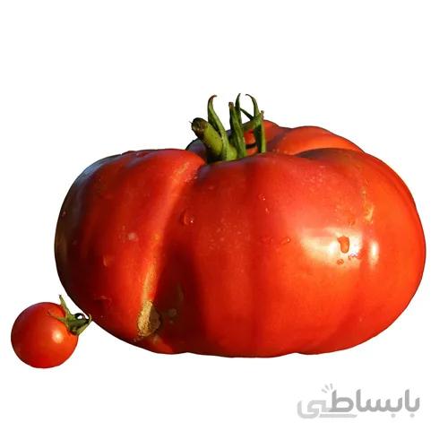 بذر گوجه فرنگی 500 گرمی