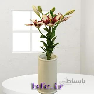 گل لیلیوم