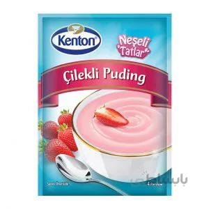 پودینگ توت فرنگی کنتون Kenton
