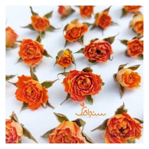غنچه ساناز نارنجی(۱۰ عددی)
