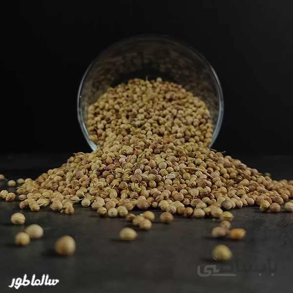 تخم گشنیز