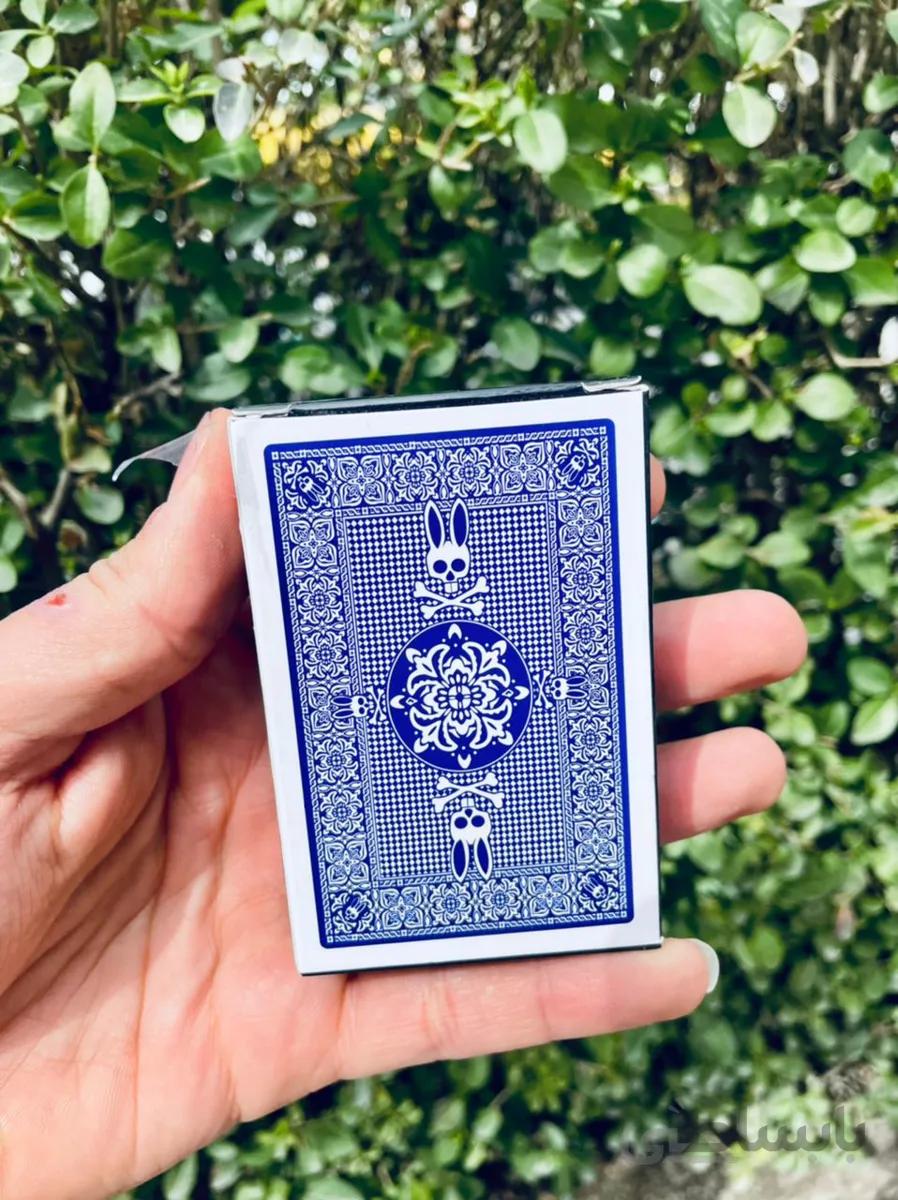 پاسور سایکو بانی خرگوشی