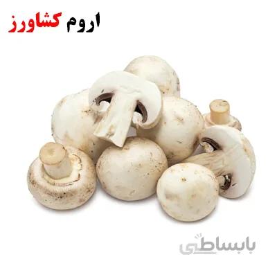 بذر قارچ دکمه ای نسل اول