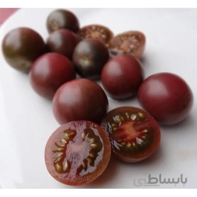 بذر گوجه چری ارغوانی درختی بسته ۱۵ عددی