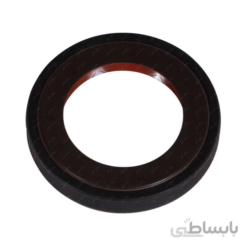 کاسه نمد پلوس بزرگ 405