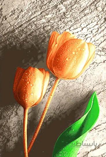 نخ و نقشه طرح شاخه گل کد 243