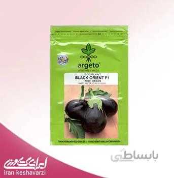 بذر بادمجان دلمه بلک اورینت F1 آرگیتو