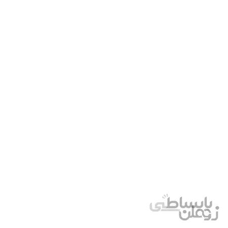 کلگی فست شارژ الجی LG MCS-H05ER