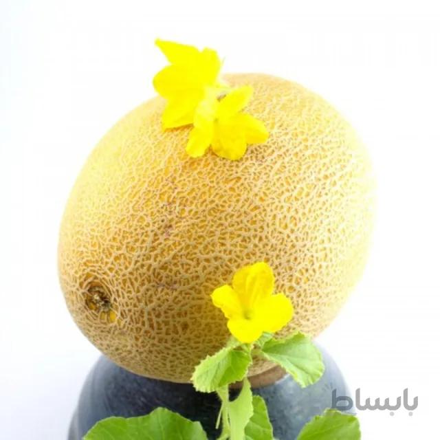 بذر خربزه آتشی بسته ۳ گرمی