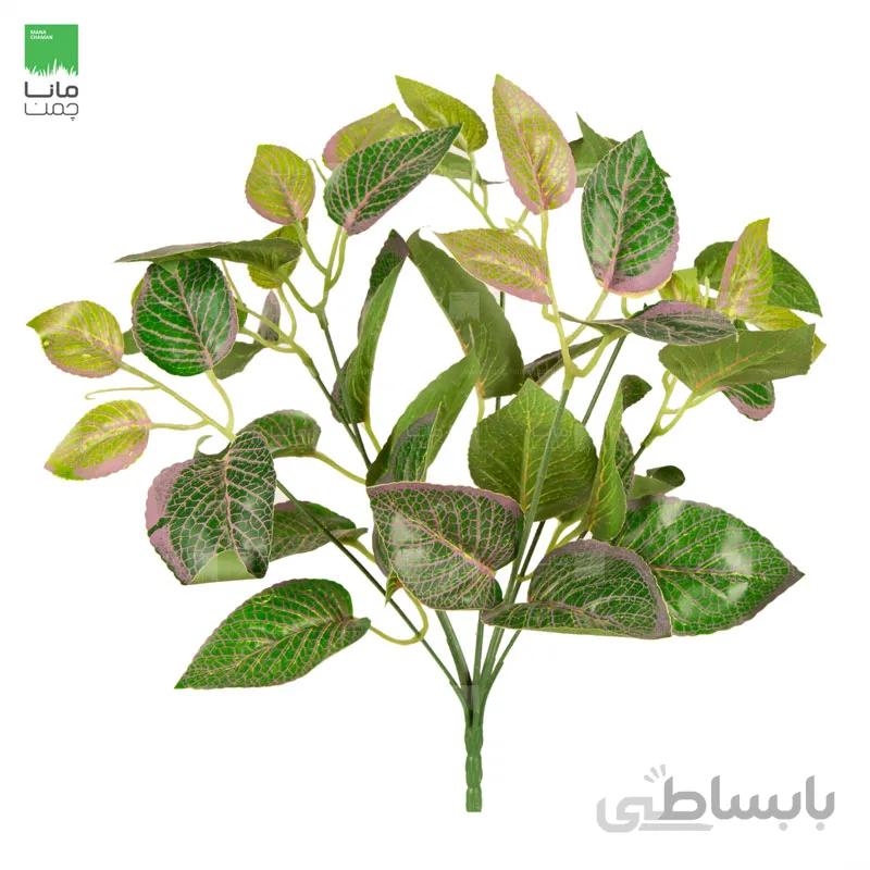 گیاه مصنوعی مدل بوته فیتونیا