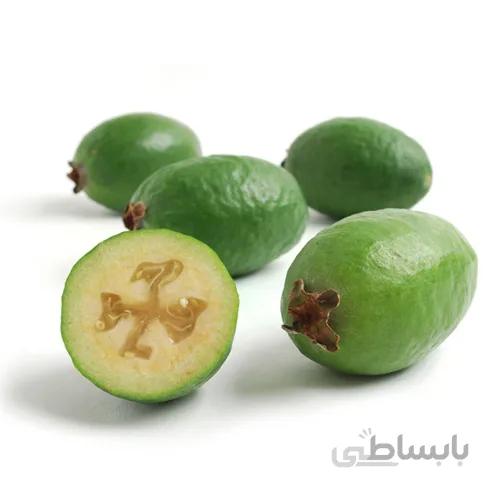 بذر میوه فوجیا بیضی دیررس