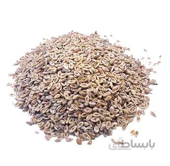 اسفرزه 100 گرمی