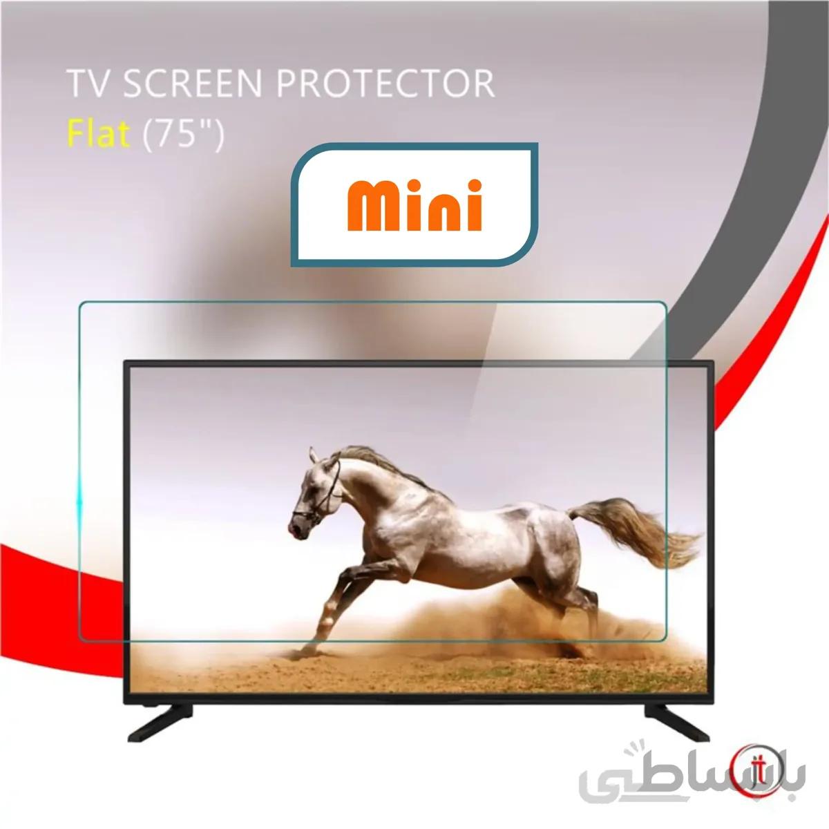 محافظ صفحه نمایش 75 اینچ Mini