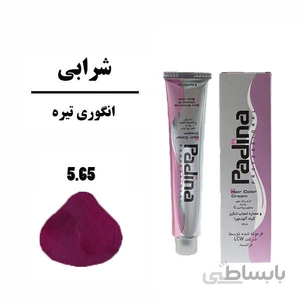 رنگ مو پادینا 100 میل انگوری تیره 5.65