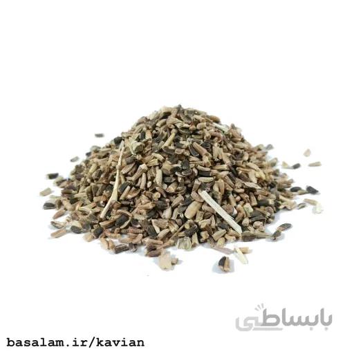 تخم کاسنی