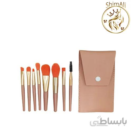 براش مینی