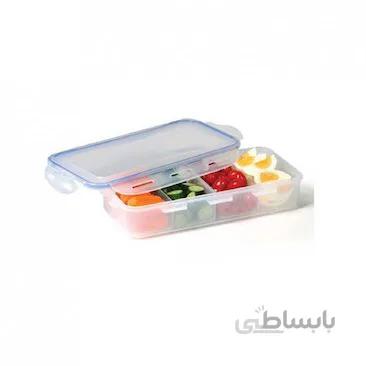 ظرف فریزری مستطیلی چهار خانه لیمون ا limon Freezer Container