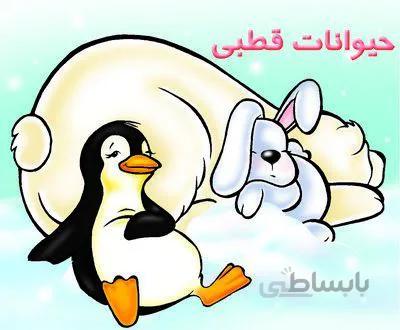 حیوانات قطبی آموزش خردسالان