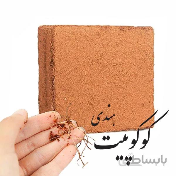 کوکوپیت قالبی هندی