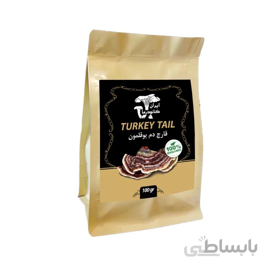 قارچ دم بوقلمون یا ترکی تیل