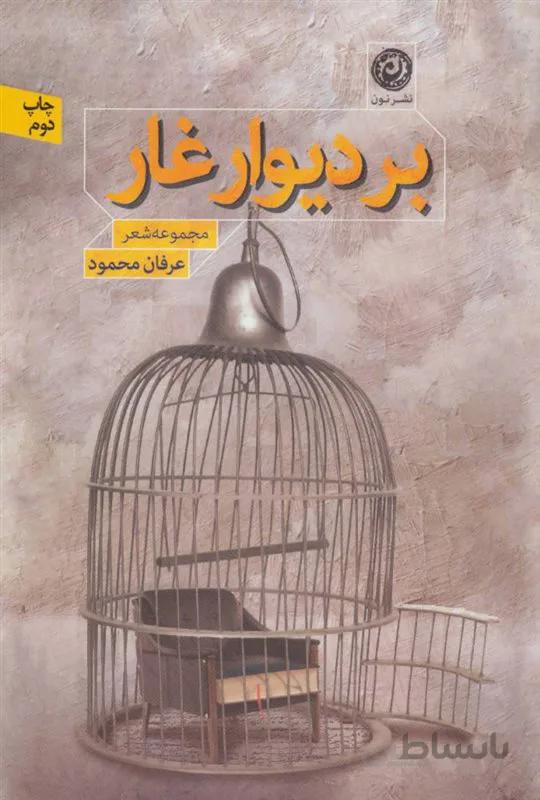 کتاب بر دیوار غار اثر عرفان محمود