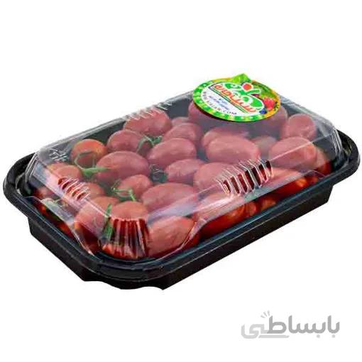 گوجه گیلاسی قرمز درجه یک - 300 گرم