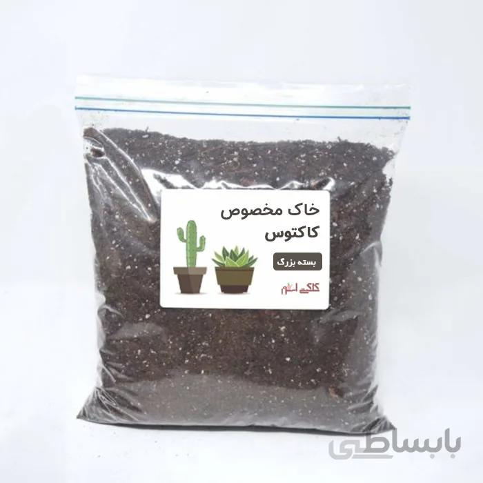 خاک مخصوص کاکتوس بسته بزرگ