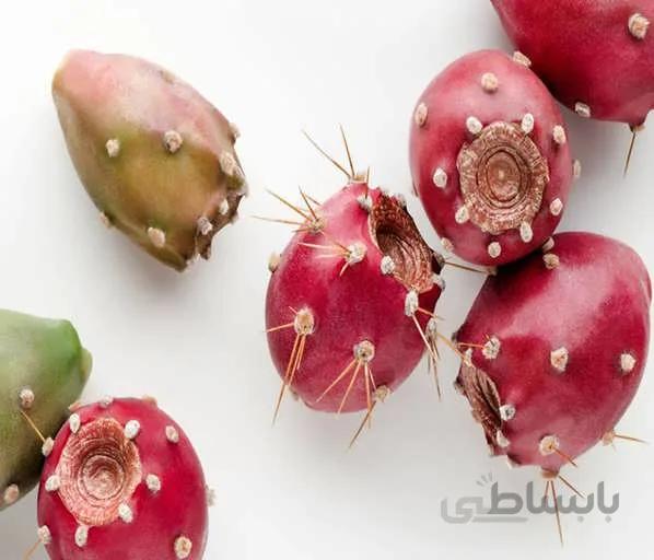 بذر کاکتوس اپونتیا میوه دار قرمز
