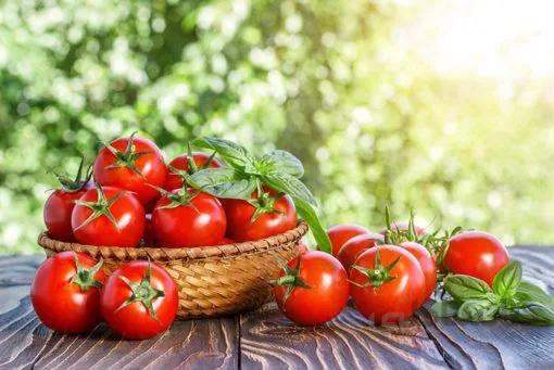 بذرگوجه فرنگی گیلاسی قرمز هیبرید ژاپنی بسته 5 عددی