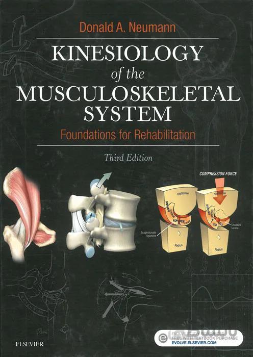 Kinesiology of the Musculoskeletal System