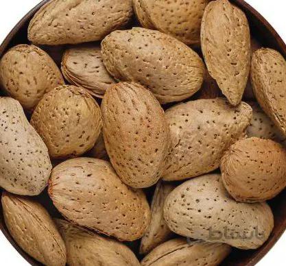 بادام سنگی