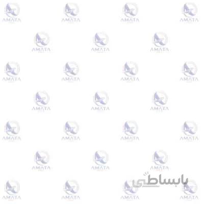 هواکش کامل پژو 206 (تیپ 5)