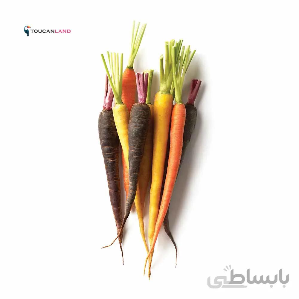 بذر هویج چند رنگ میکس