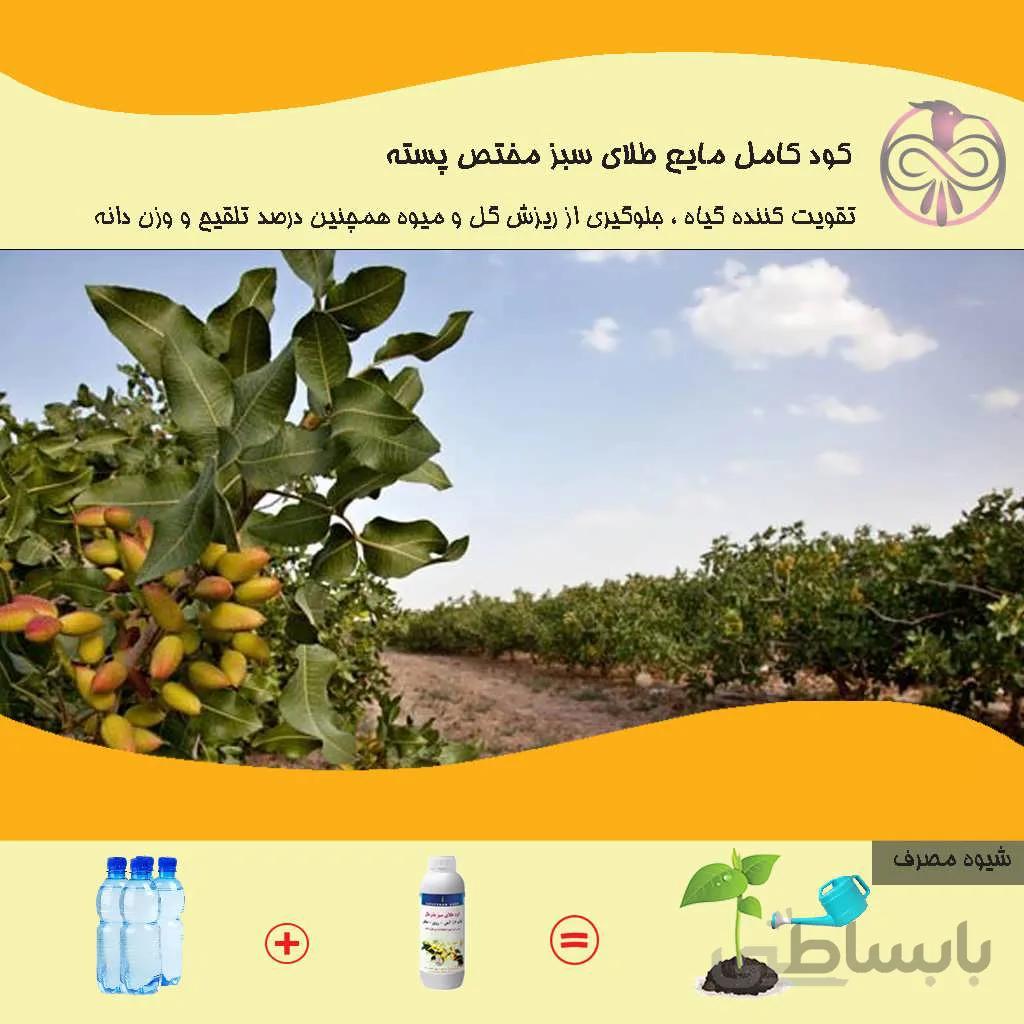 کود کامل مایع طلای سبز مختص پسته