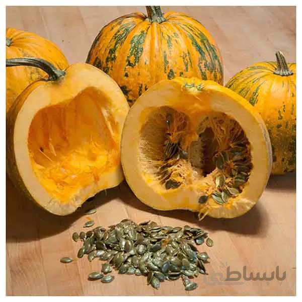 بذر کدو تخم کاغذی