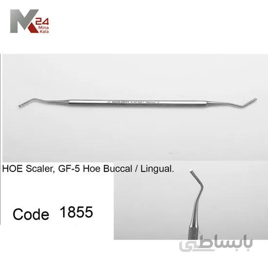 اسکیلر هو - 1855