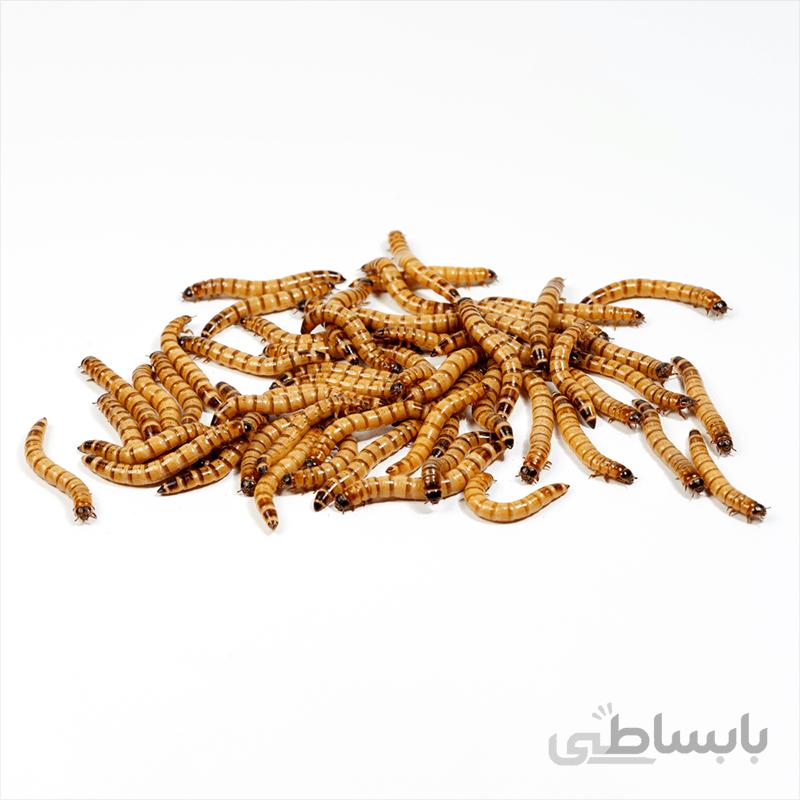 سوپرورم خشک