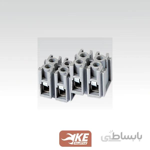 ترمینال شاخهای زوجی رعد سایز 2.5 RMT