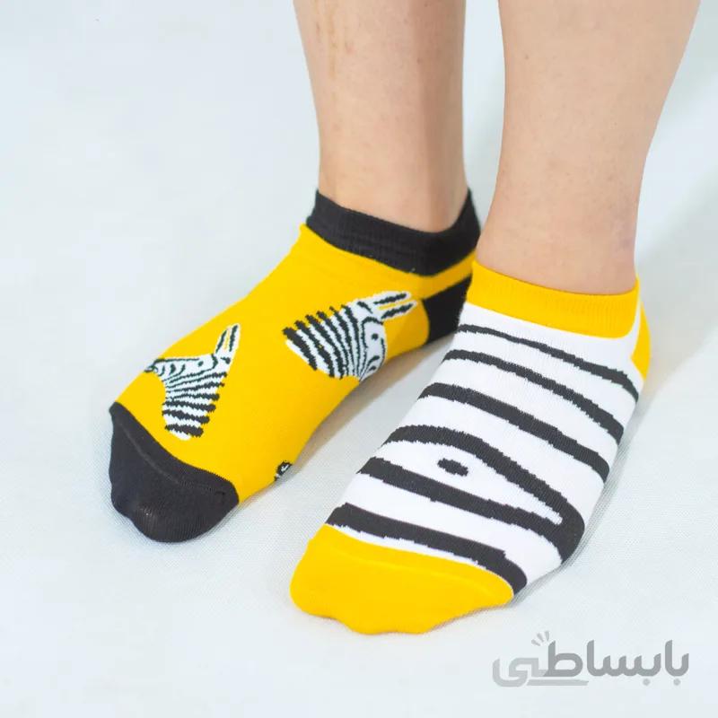 جوراب مچی گورخر پاریز