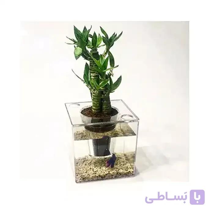 استند گلدان مدل اکواریوم