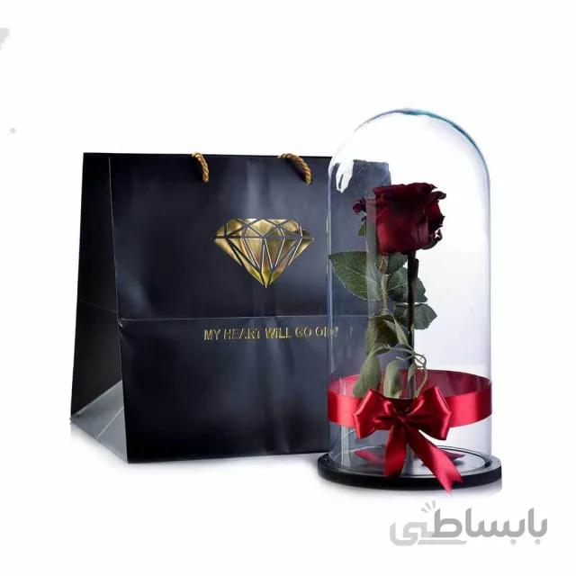 رز جاودان طرح دیو و دلبر ارتفاع 30 سانتیمتر