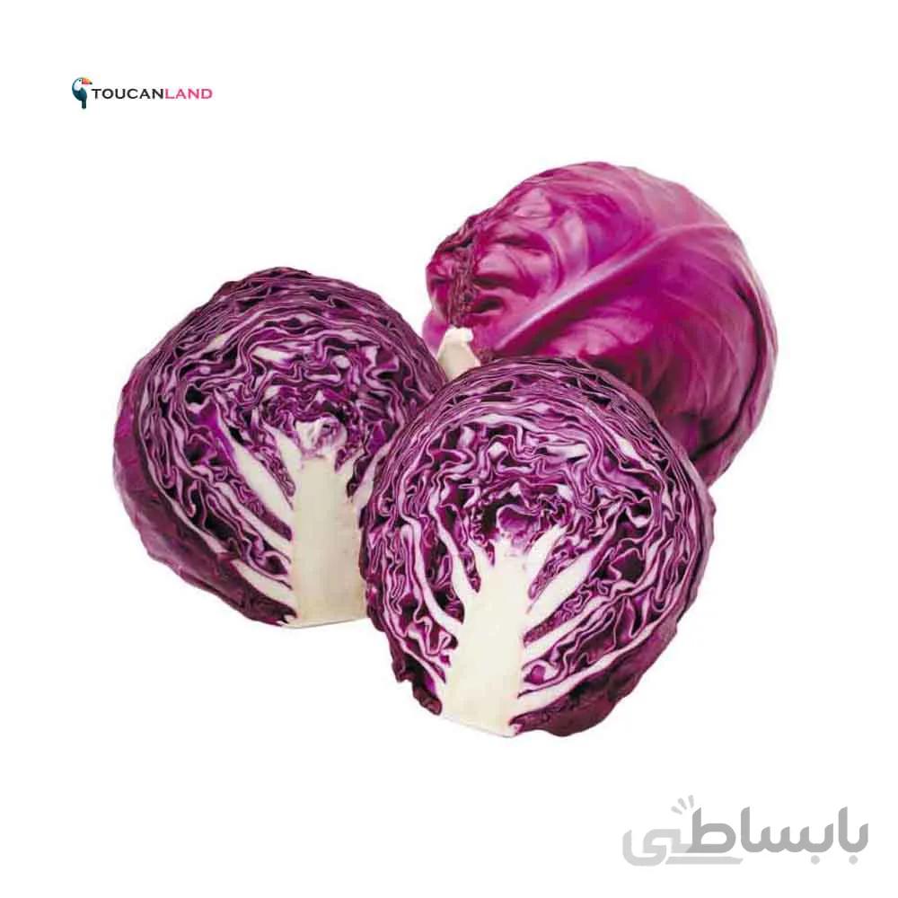بذر کلم قرمز