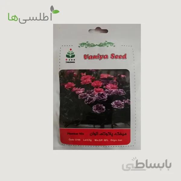 بذر میخک