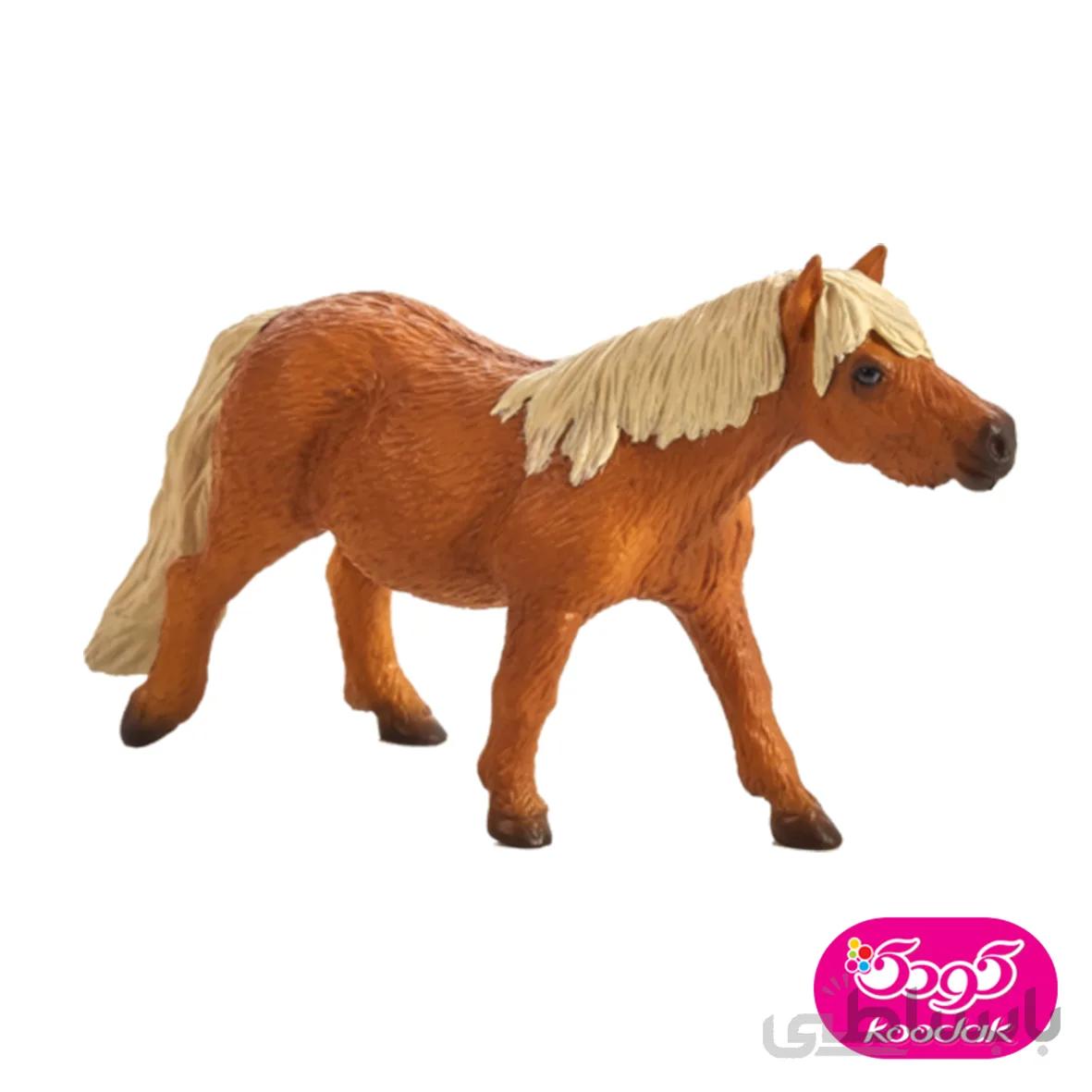 پونی شتلند 387231 – حیوانات موجو