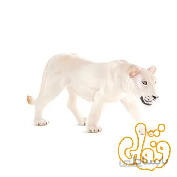 شیر سفید ماده White Lioness 387207