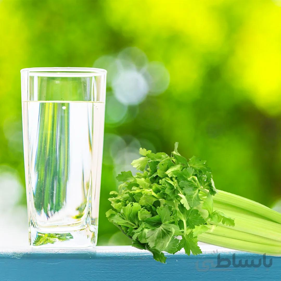 عرق کرفس