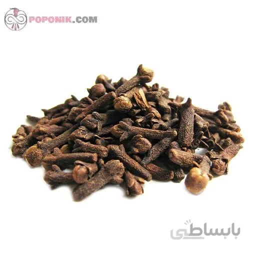 بذر میخک صد پر