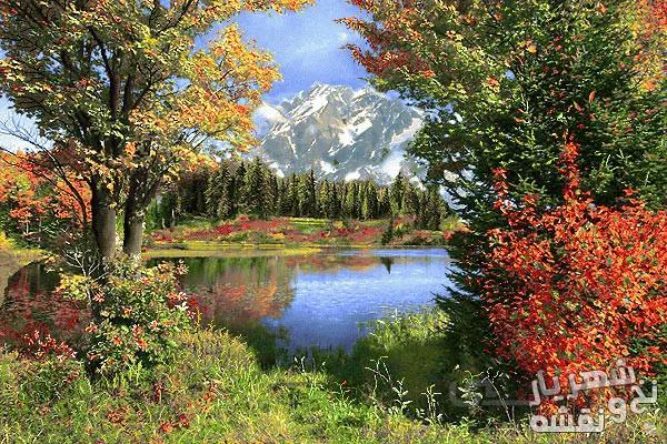 نخ و نقشه تابلوفرش طرح منظره مرداب زیبا کد 92447
