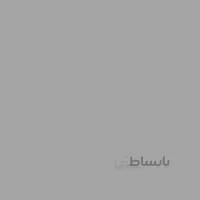شمش Silver (39) -160 کوه نور
