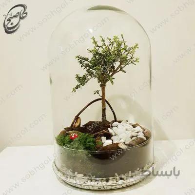 خرید گل آنلاین – تراریوم سریزا طرح T-063
